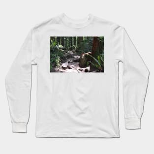 Sunlit Forest Trail Long Sleeve T-Shirt